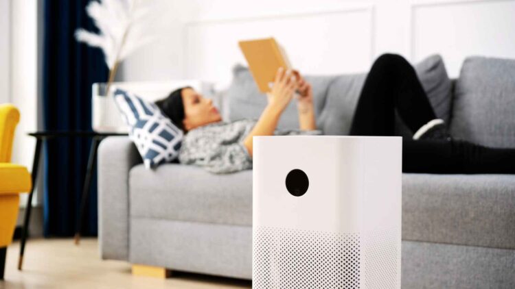 Amazon's best-rated air purifier