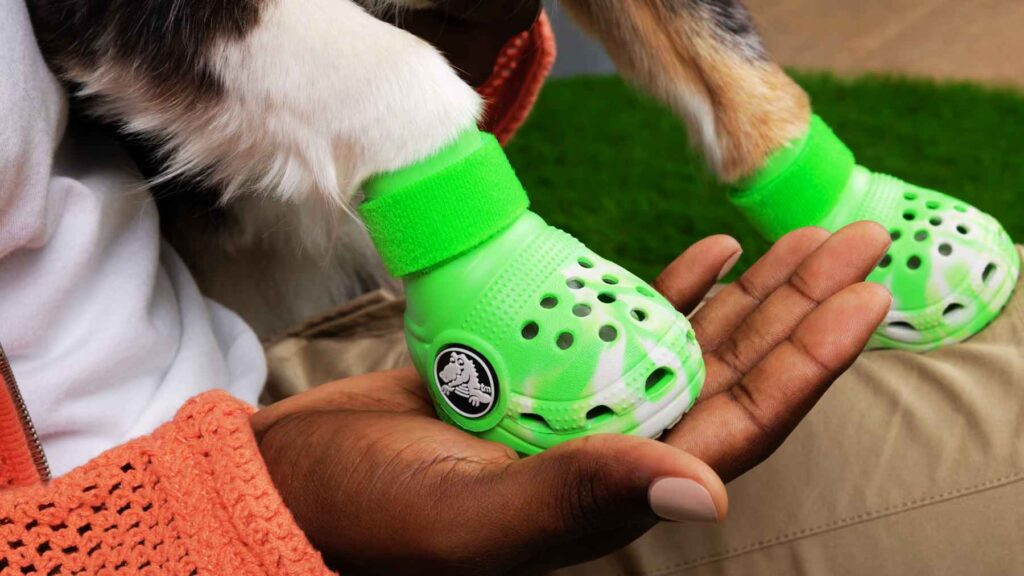 Crocs pets