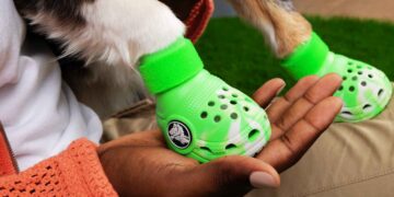 Crocs pets