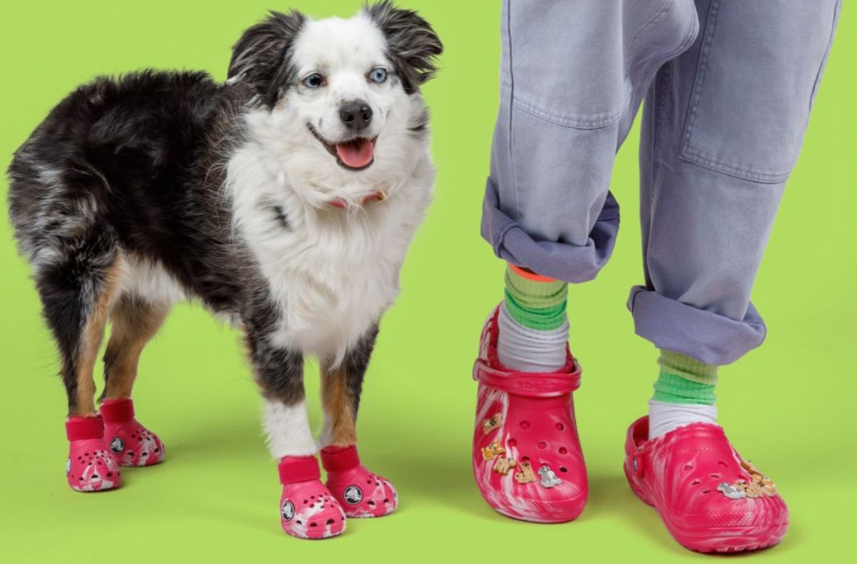 Pet Crocs Boots and matching human clogs