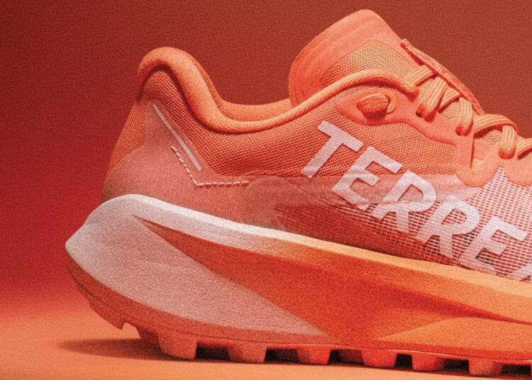 Adidas Terrex Agravic 3 Trail Running Shoes (Review)