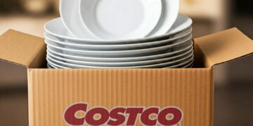 The Viral Costco Dinnerware Set
