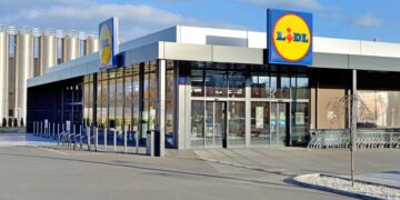 Lidl vestido