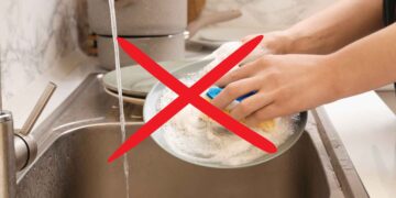 Carrefour lavavajillas Bosch