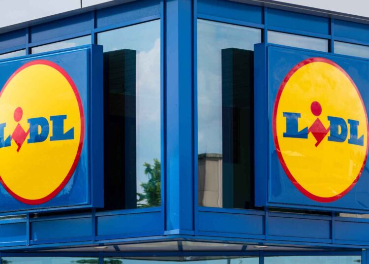 Lidl bolsa isotérmica