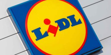 LIDL entrenador de brazos y piernas