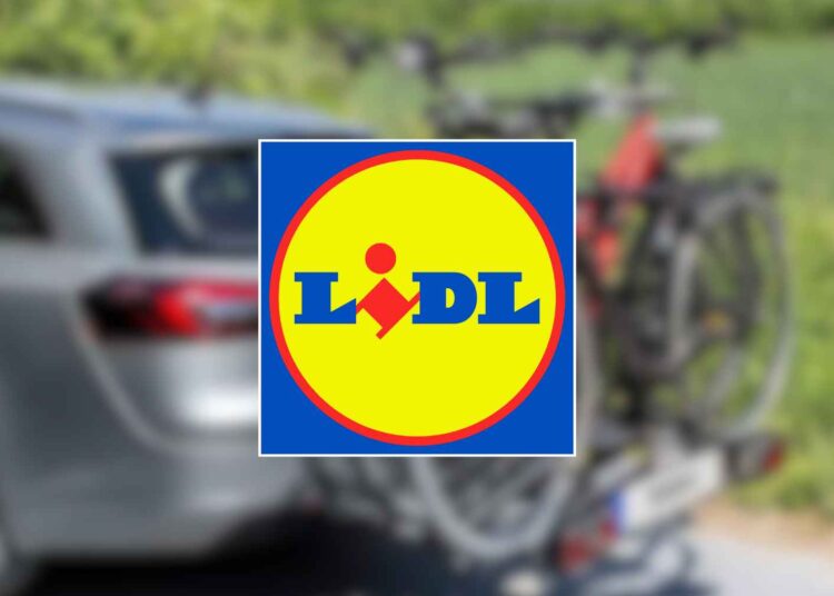 LIDL portabicicletas