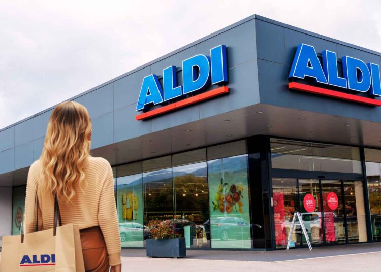 ALDI secador pelo Ambiano