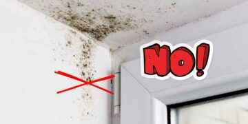 Carrefour Deshumidificador Delongi DNS65