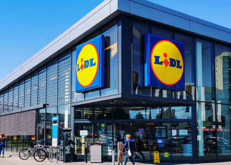 Lidl batidora brazo