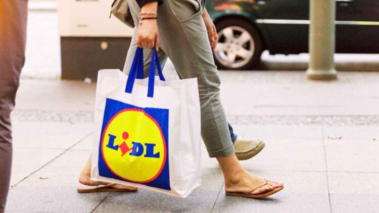 Lidl procesador alimentos