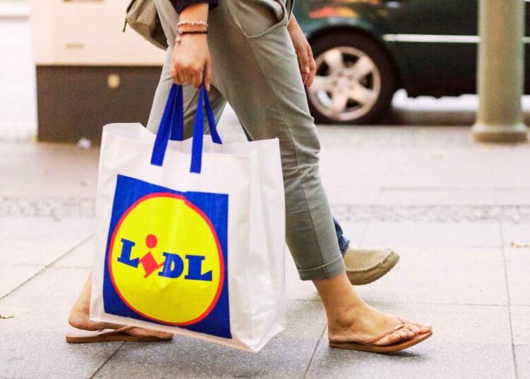 Lidl procesador alimentos