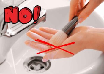 Carrefour limpiador brochas maquillaje