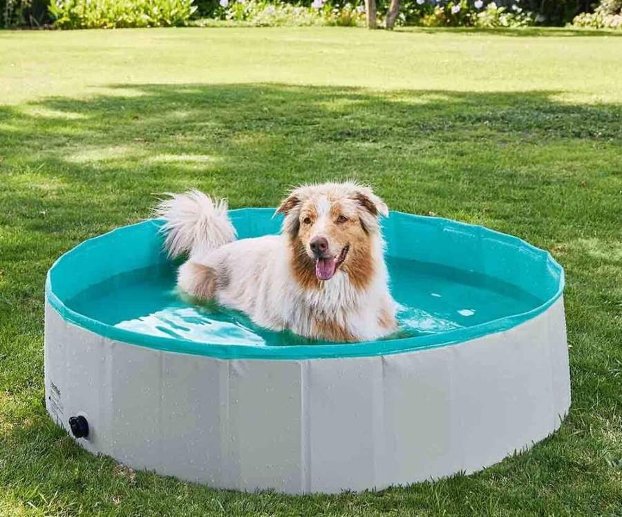 LIDL Piscina para perros 120 x 30 cm