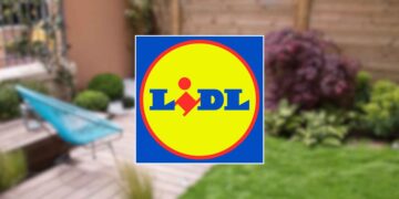 Lidl Cortabordes eléctrico