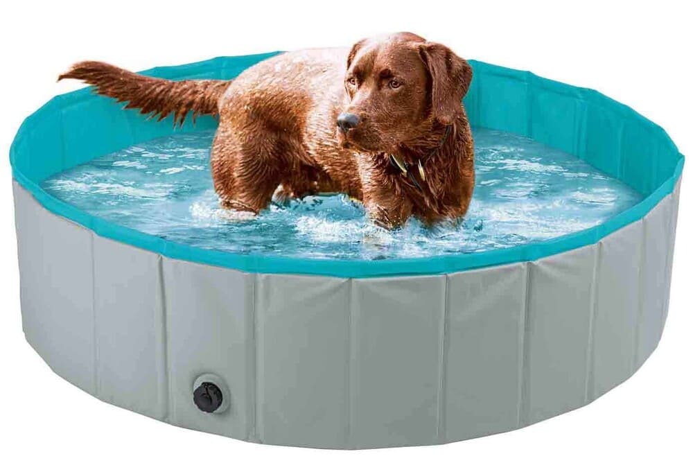 Piscina LIDL para perros 120 x 30 cm