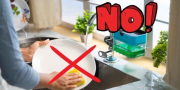 Amazon MR.SIGA Cepillo de Palma