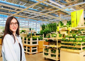 Ikea soporte planta bambú