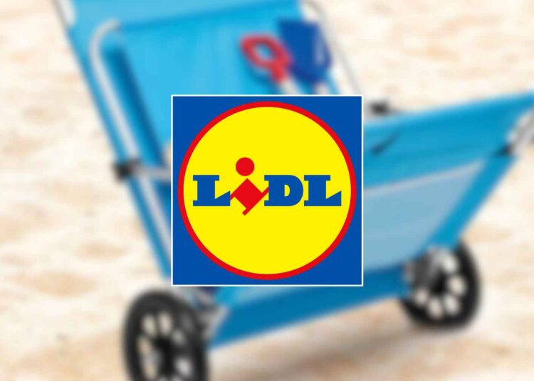 Lidl tumbona playa