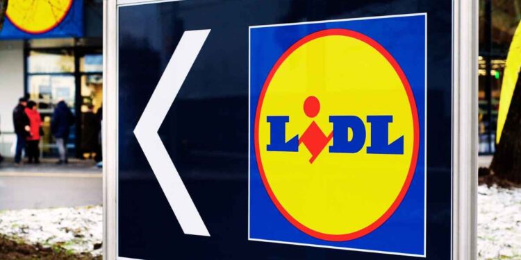 Lidl organizador de salsas