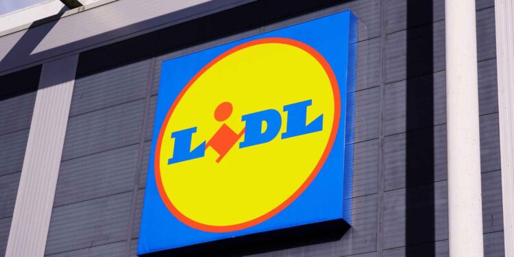 Lidl banco almacenamiento Echtwerk