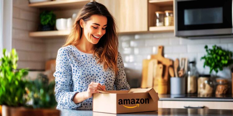 Amazon batidora de mano Moulinex