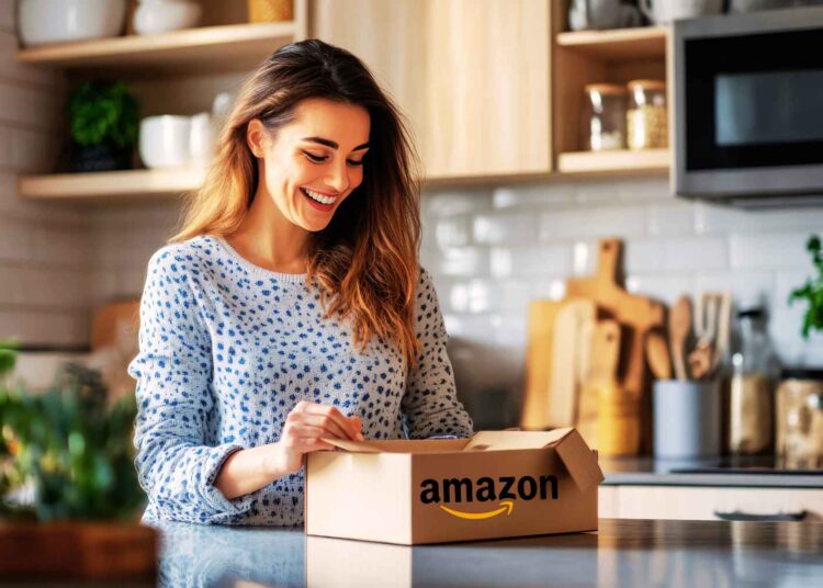 Amazon batidora de mano Moulinex