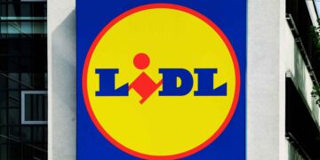 Lidl procesador alimentos