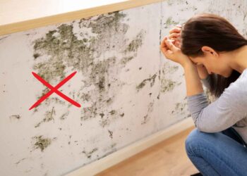 Leroy Merlin deshumidificador