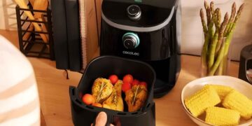 Leroy Merlin freidora de aire de Cecotec