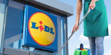 vileda fregona mopa vapor lidl