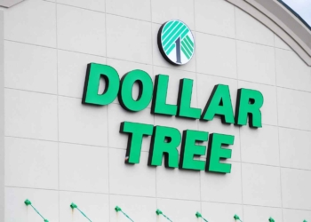 Dollar Tree Juguetes mascotas