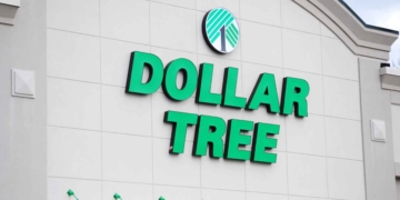 Dollar Tree Juguetes mascotas
