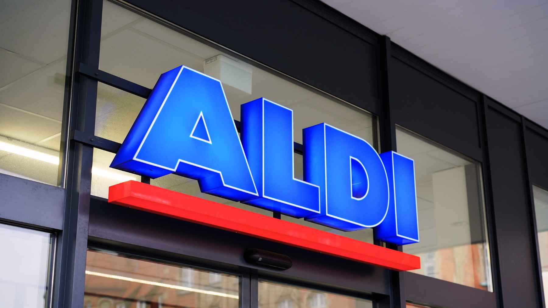 ALDI pintura humedad