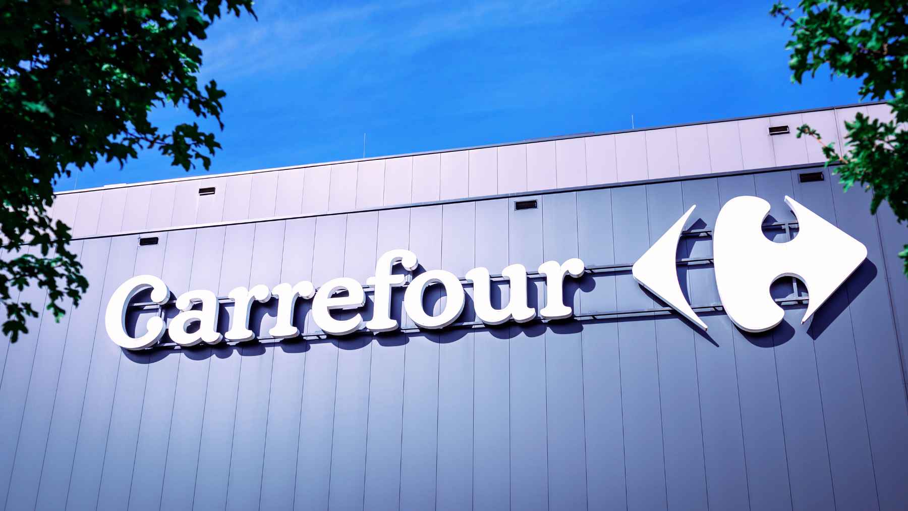 Carrefour procesador de alimentos