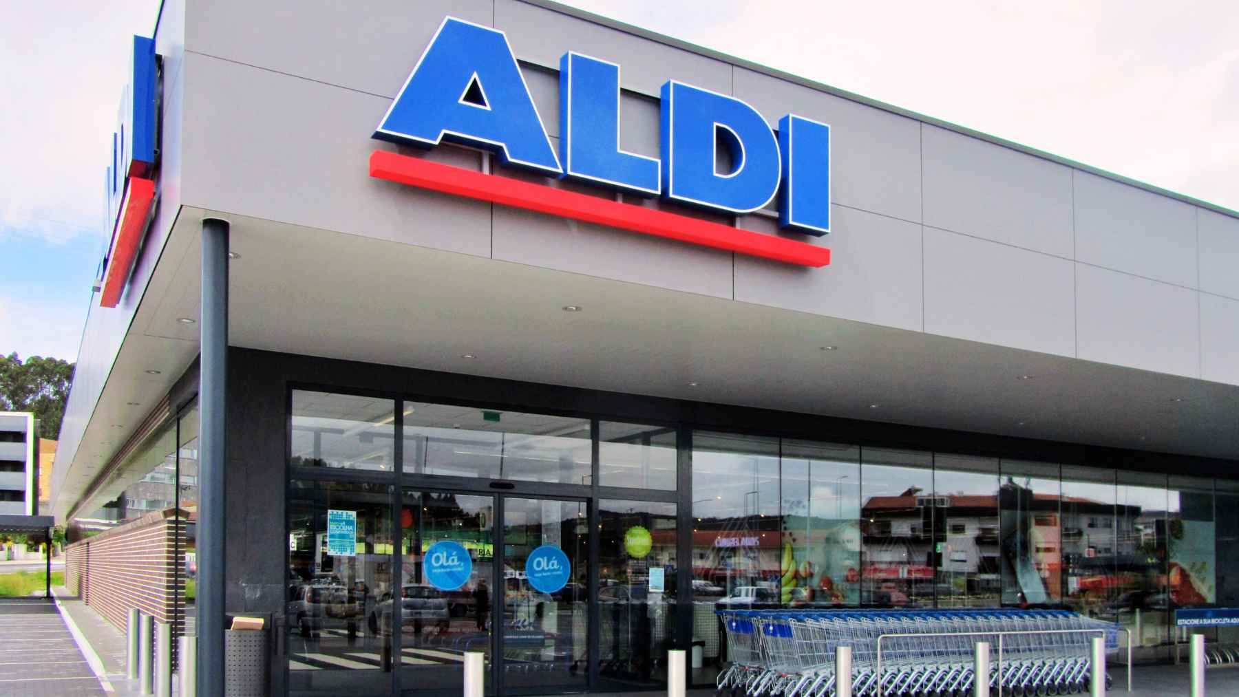 ALDI herramientas jardín