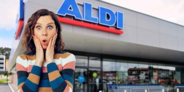 ALDI arenero con cubierta