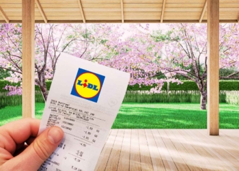 Lidl productos terraza