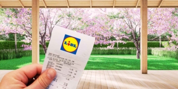 Lidl productos terraza
