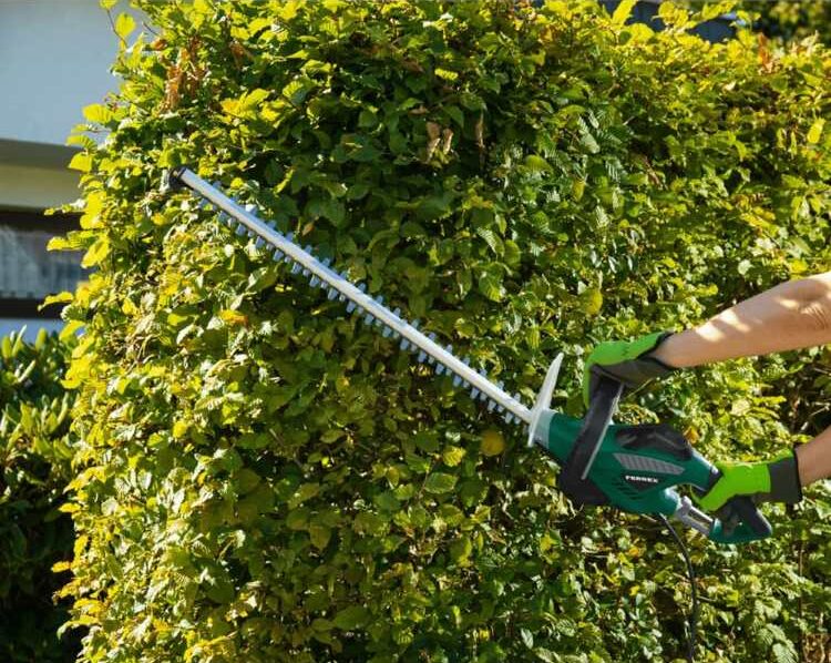 ALDI Cortasetos eléctrico