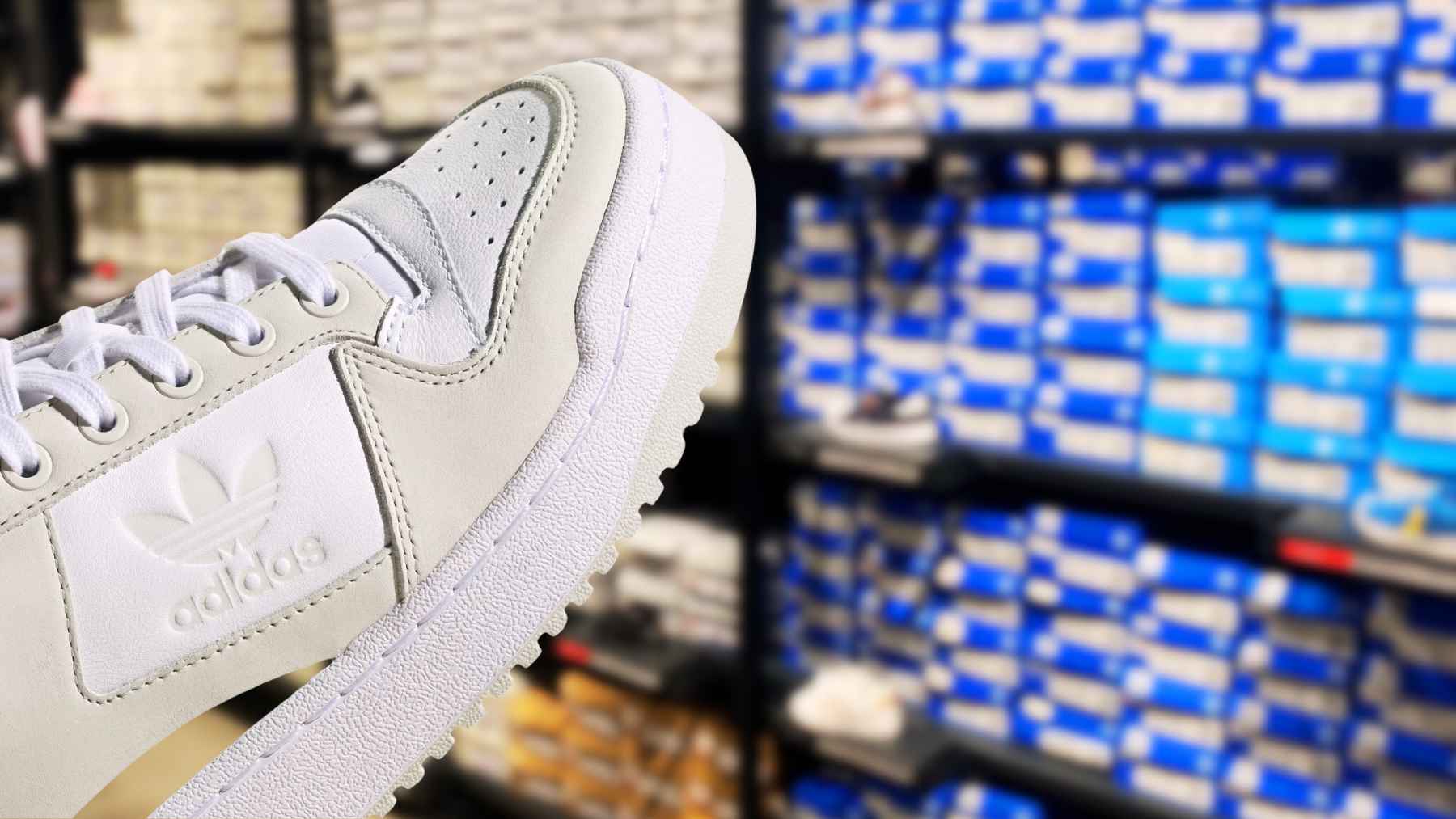 Adidas Forum Bold Shoes