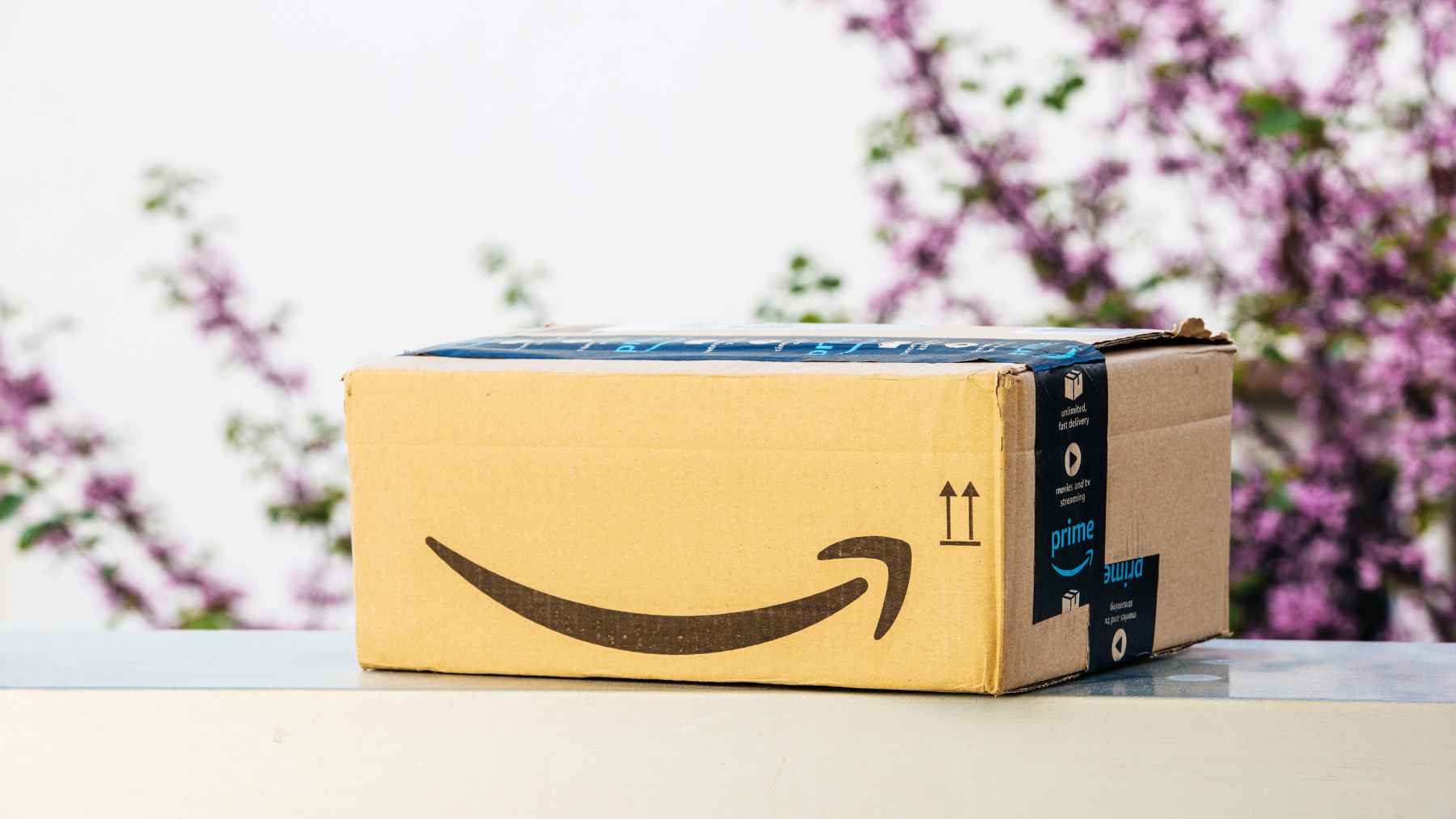 Amazon ruedas