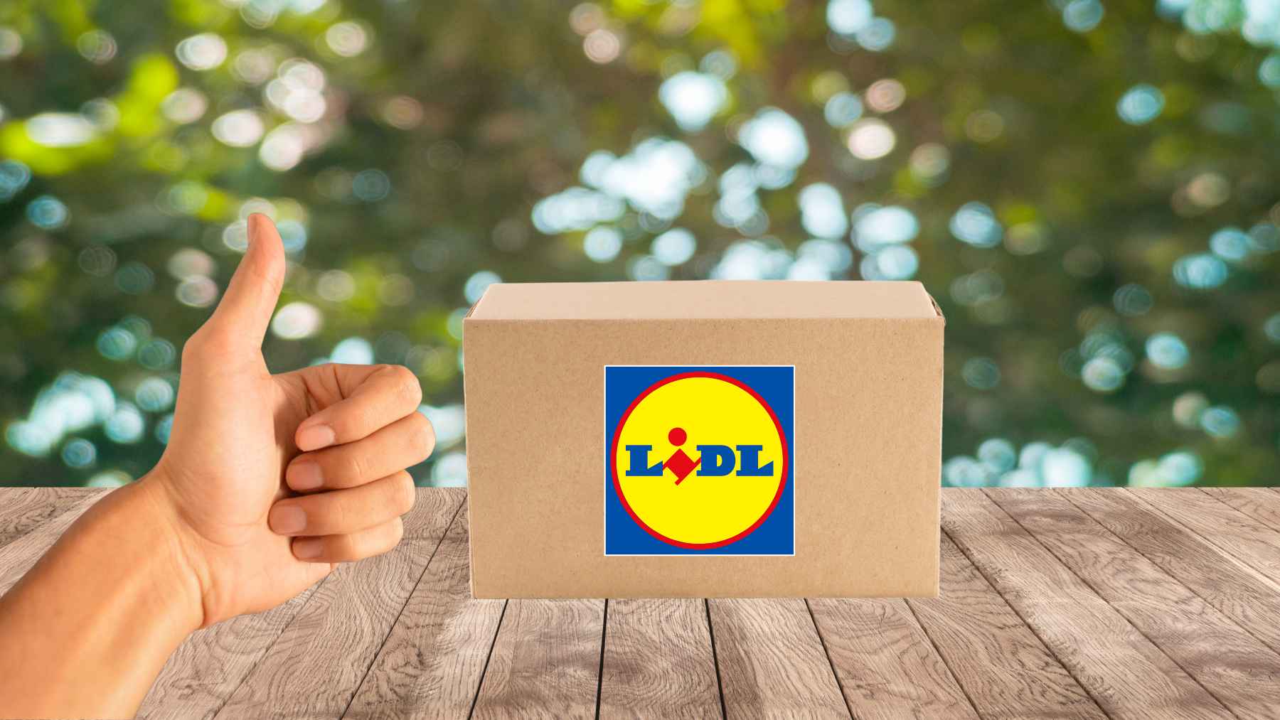 Lidl enchufe jardín