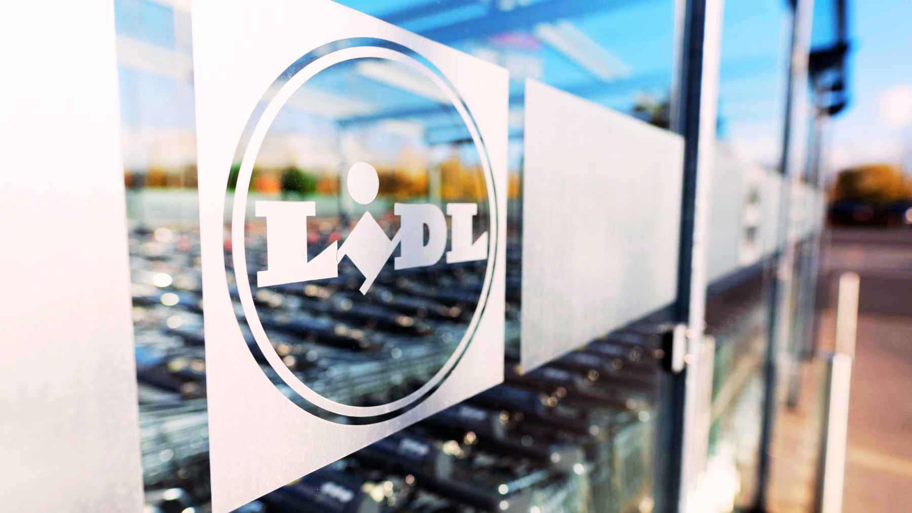 Lidl piscina Bestway
