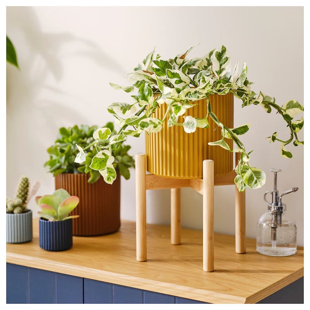Soporte para plantas DAKSJUS
