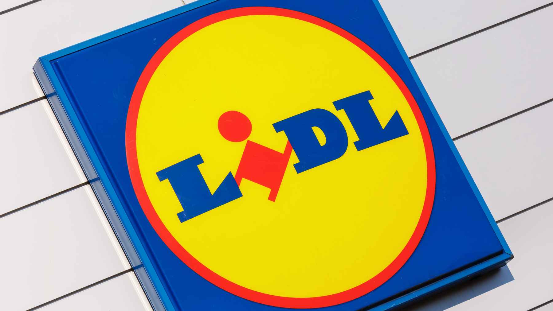 Lidl picadora